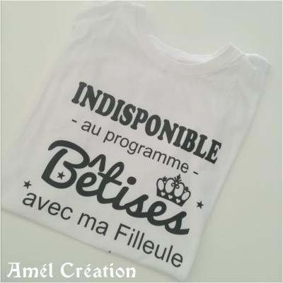 Tee shirt MC homme - indisponible au programme bêtises avec ...