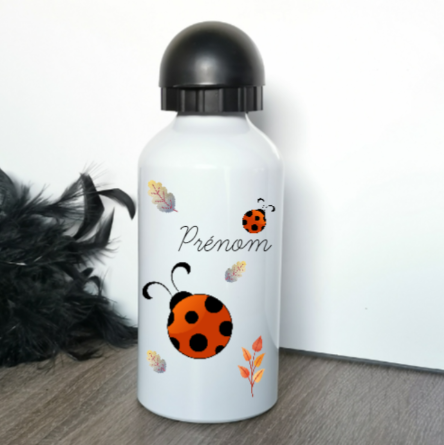 Coccinelle