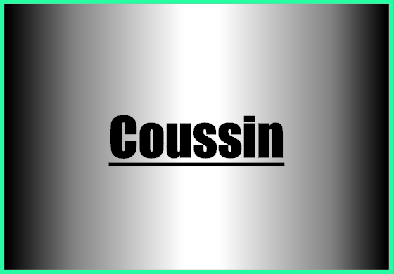 Coussin 1