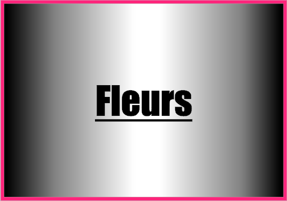 Fleurs