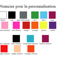 Nuancier personnalisation