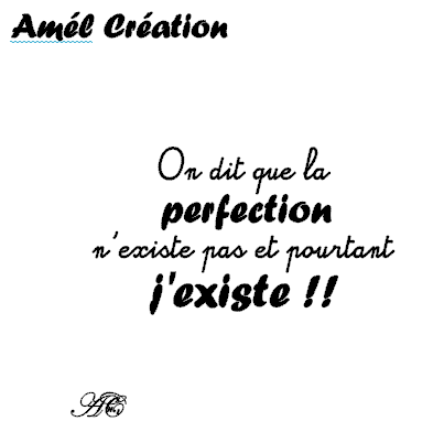 On dit que la perfection n existe pas et pourtant 9