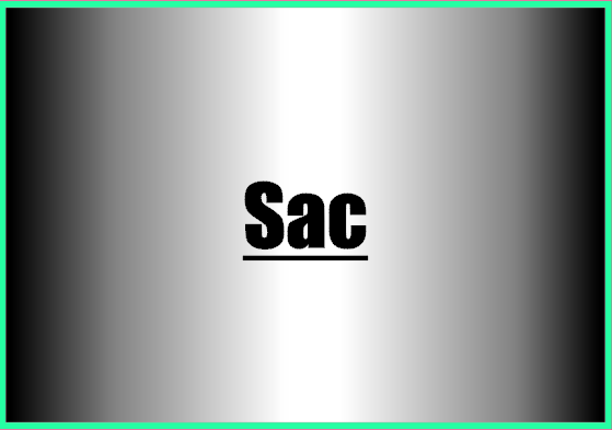 Sac 1