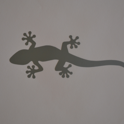 Stickers salamandre