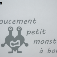 Sticker bebe a bord petit monstre 1