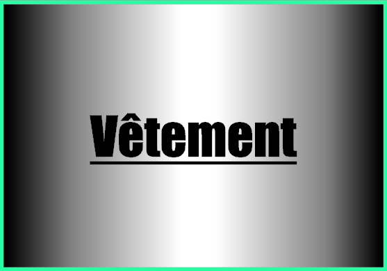 Vetement 1